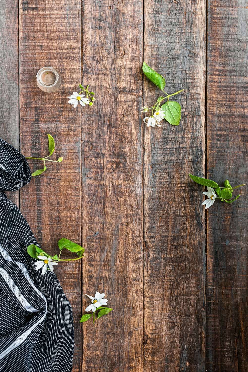 Small white jasmine flowers on weathered wood